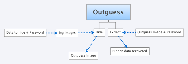  Outguess process 